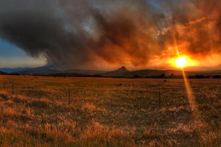 Enhanced Photography Services