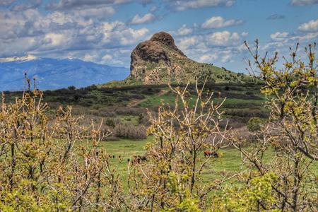 Enhanced Photography Services