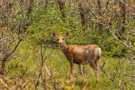 Enhanced Photography Services