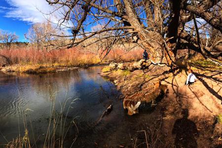 Enhanced Photography Services