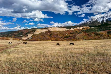 Enhanced Photography Services