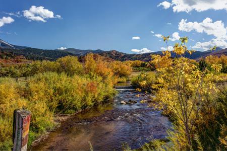 Enhanced Photography Services