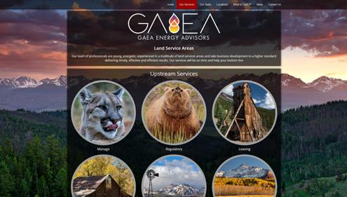 Customized Website for in Colorado